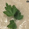 Crema de coliflor al curry