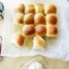 Bollitos